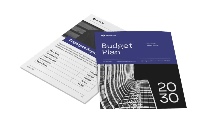 modelli di piani di bilancio
