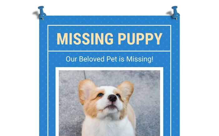 Modèles d'affiches de chien perdu