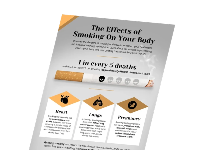 Rauch-Infografik-Vorlagen